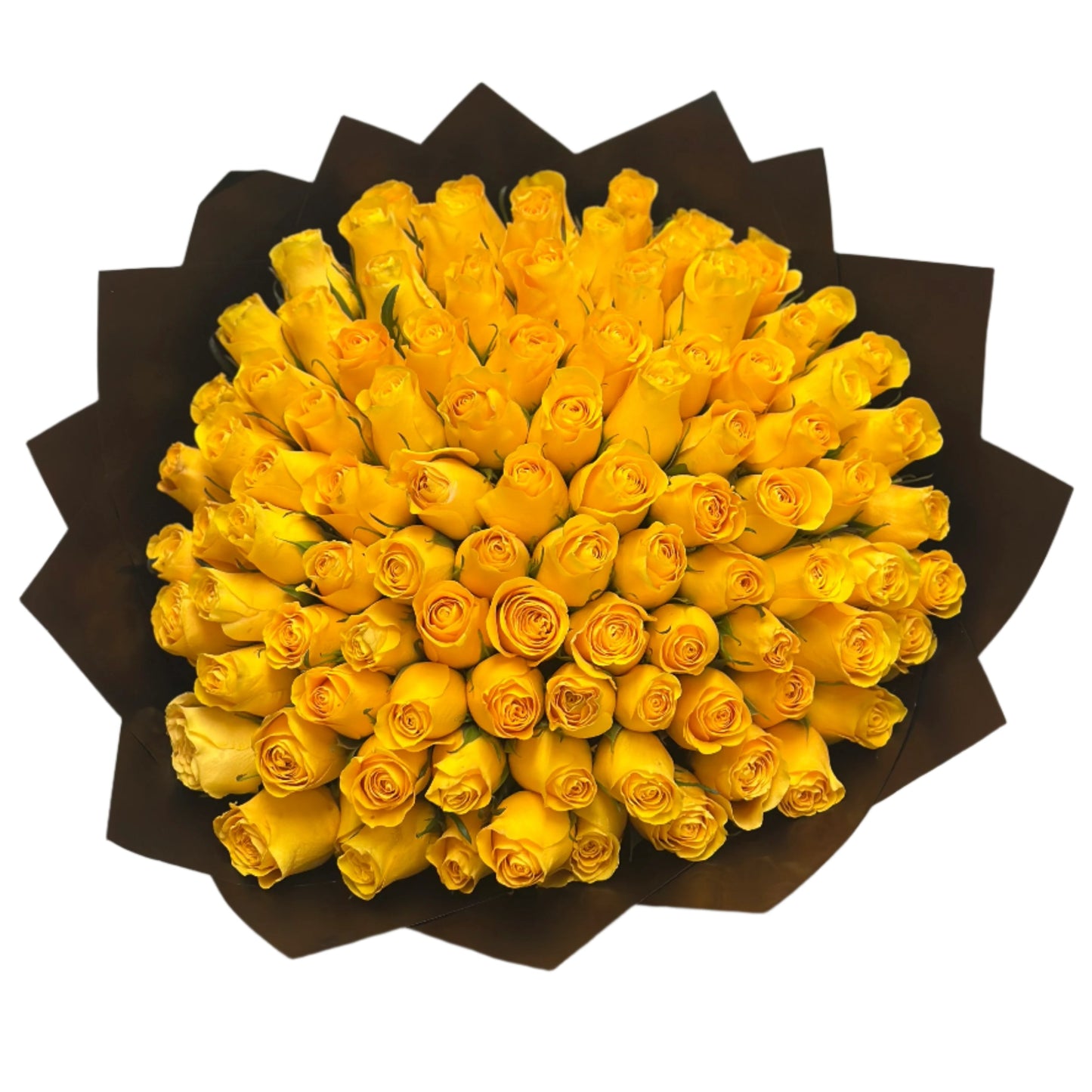 Yellow Roses