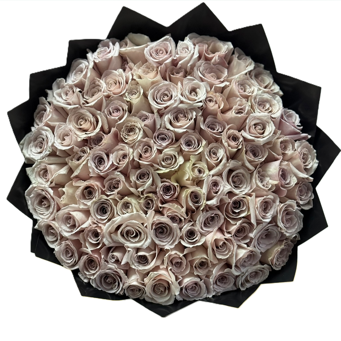 Quicksand Roses
