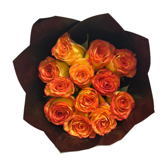High Magic Roses