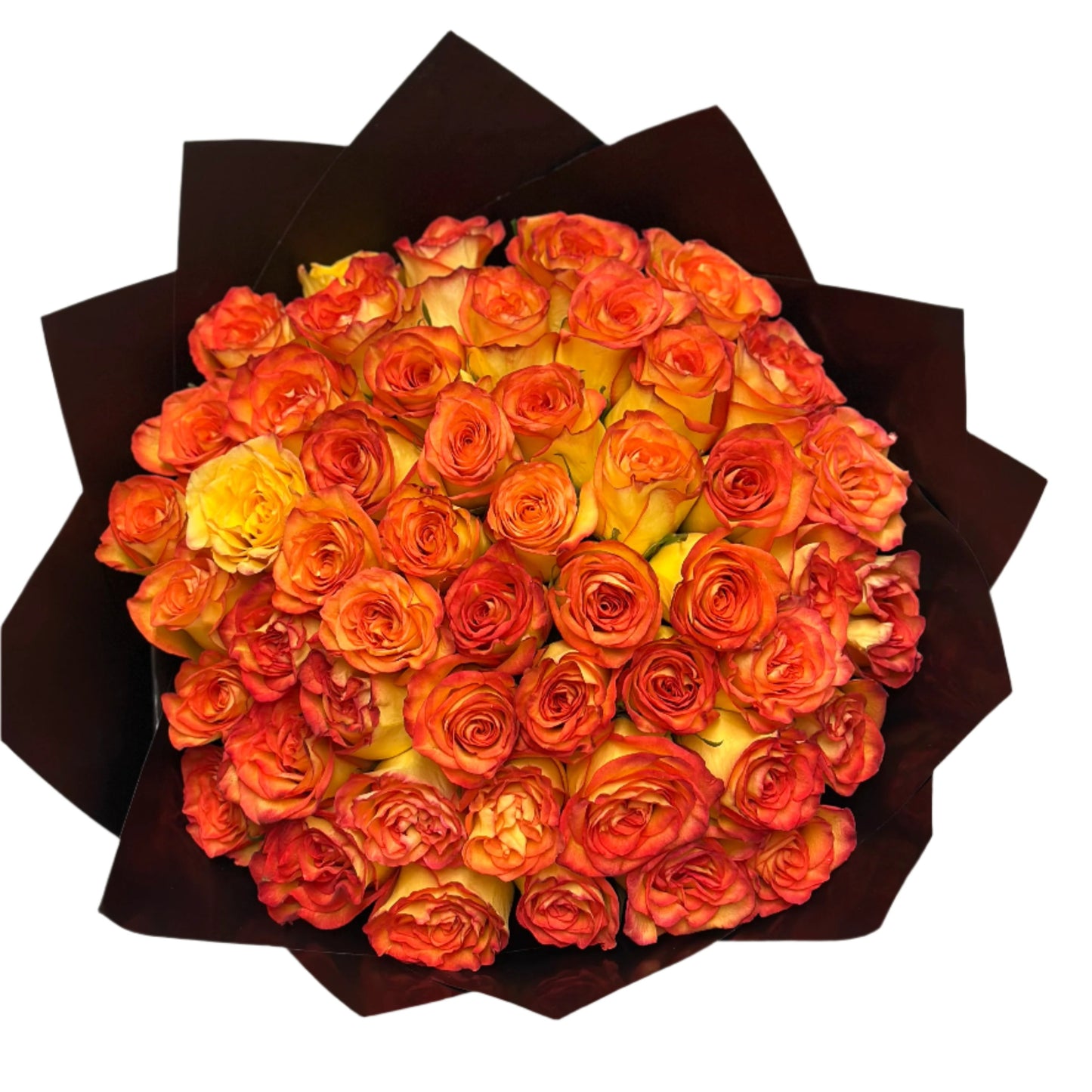 High Magic Roses