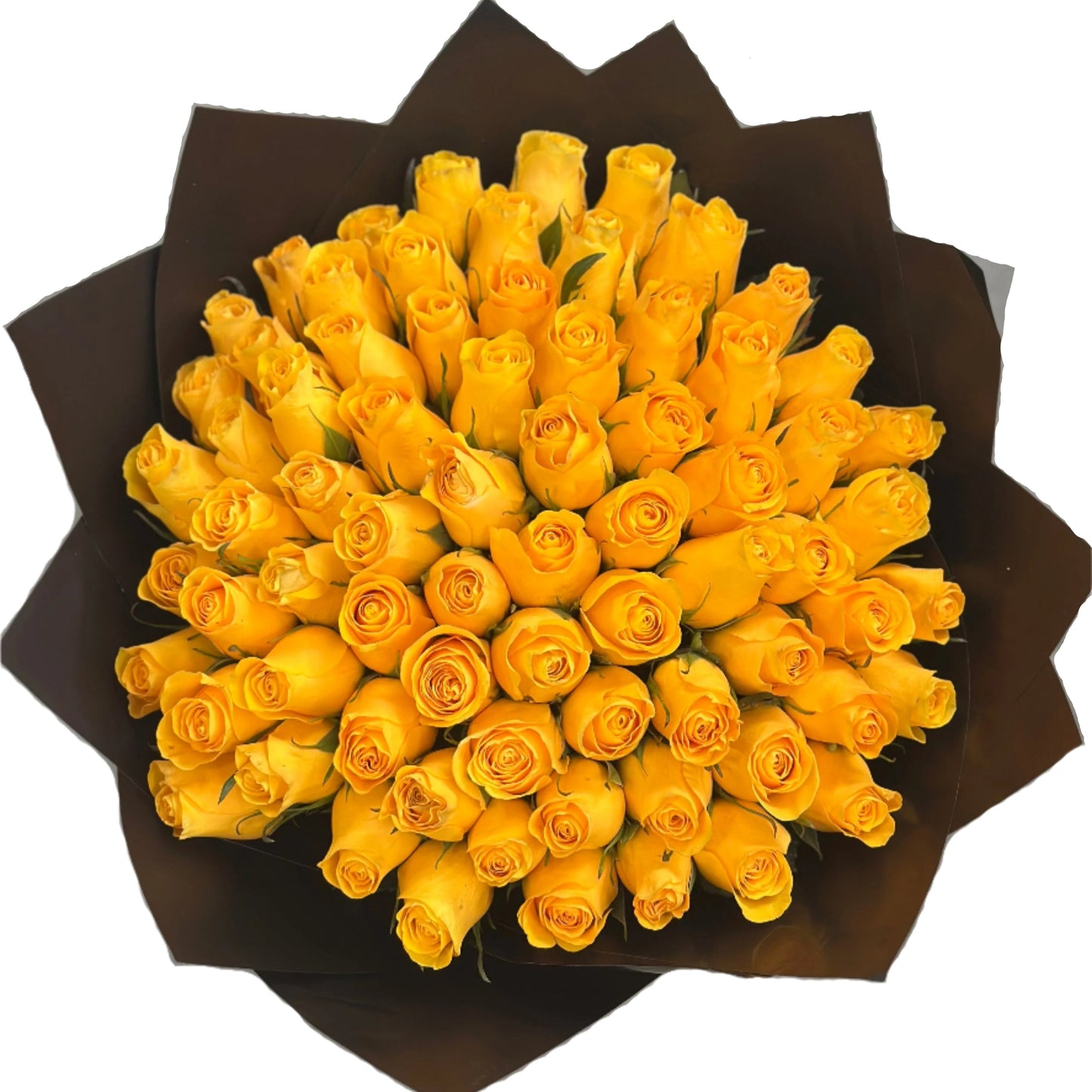 Yellow Roses