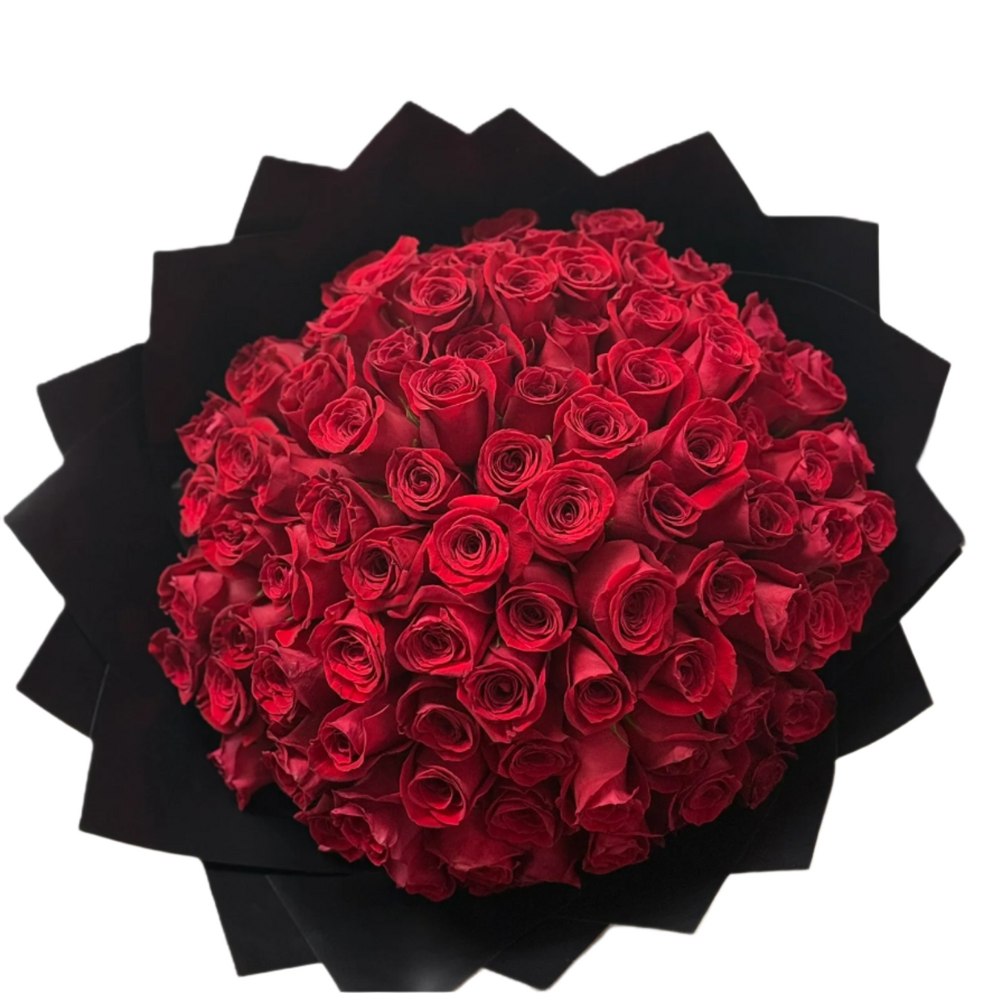 Freedom Roses