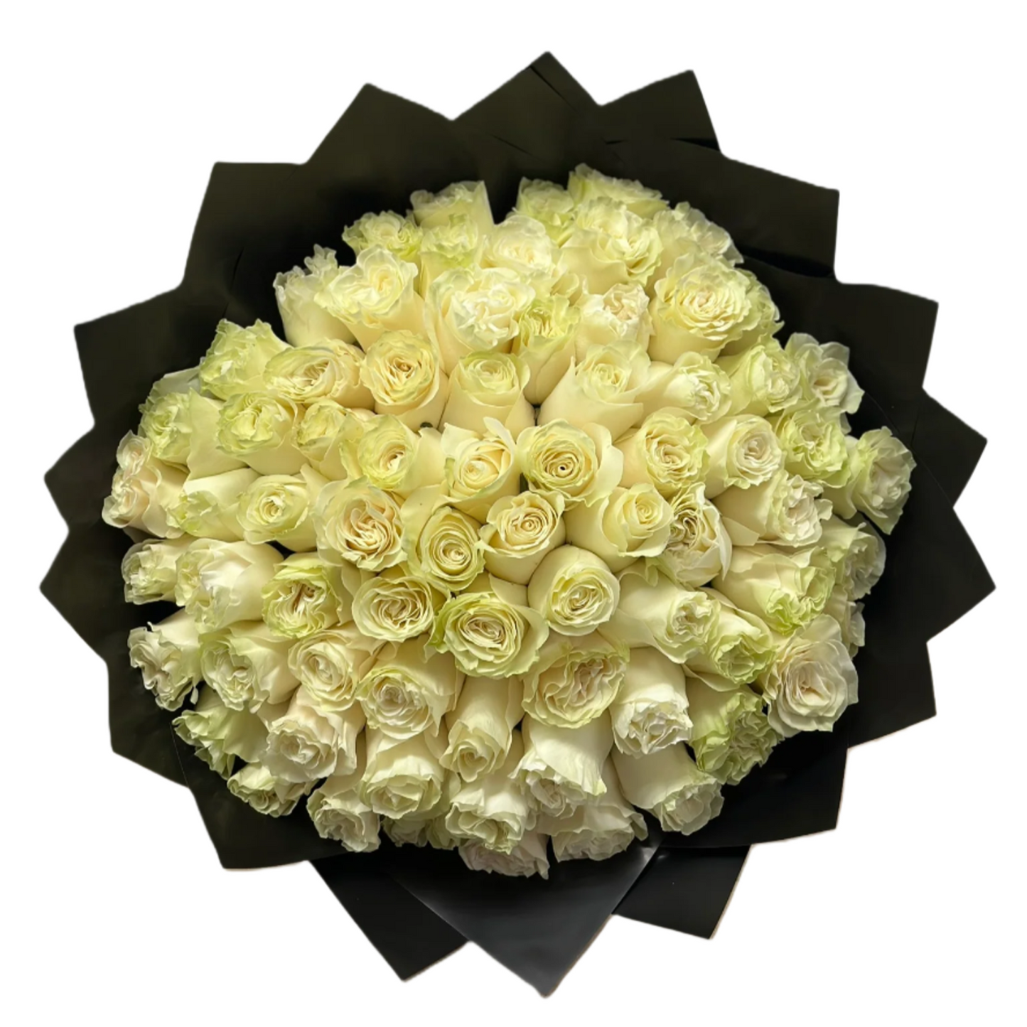 Mondial Roses