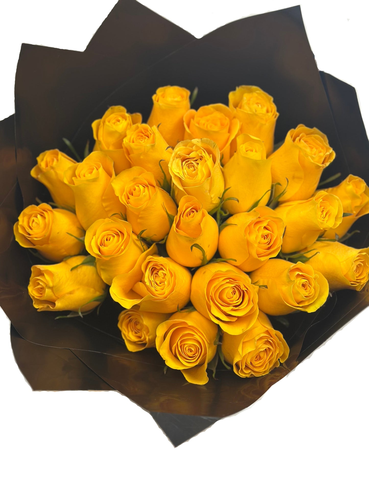 Yellow Roses