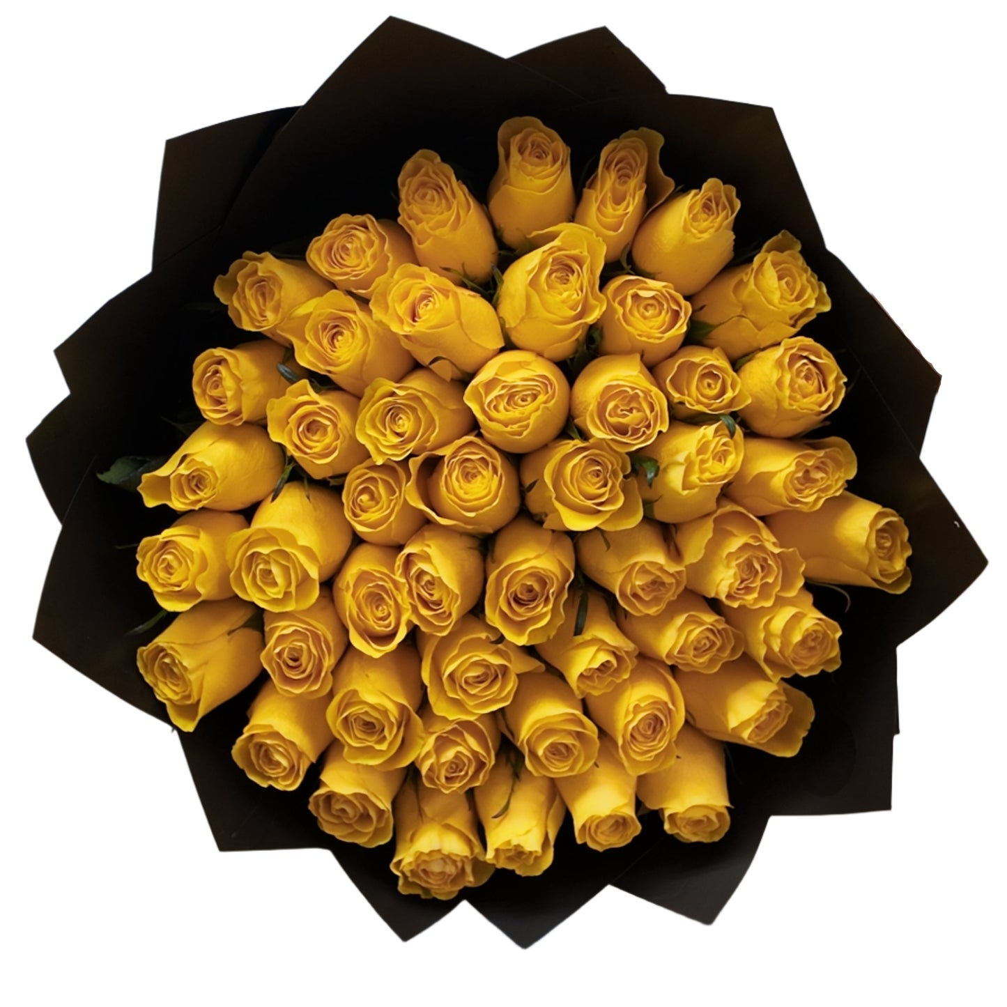 Yellow Roses